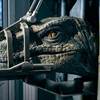 Details Revealed for Universal Orlando's Jurassic World VelociCoaster